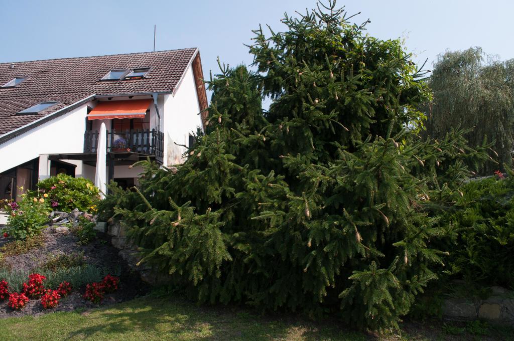 Apartment Edelweiss Egsdorf Luaran gambar